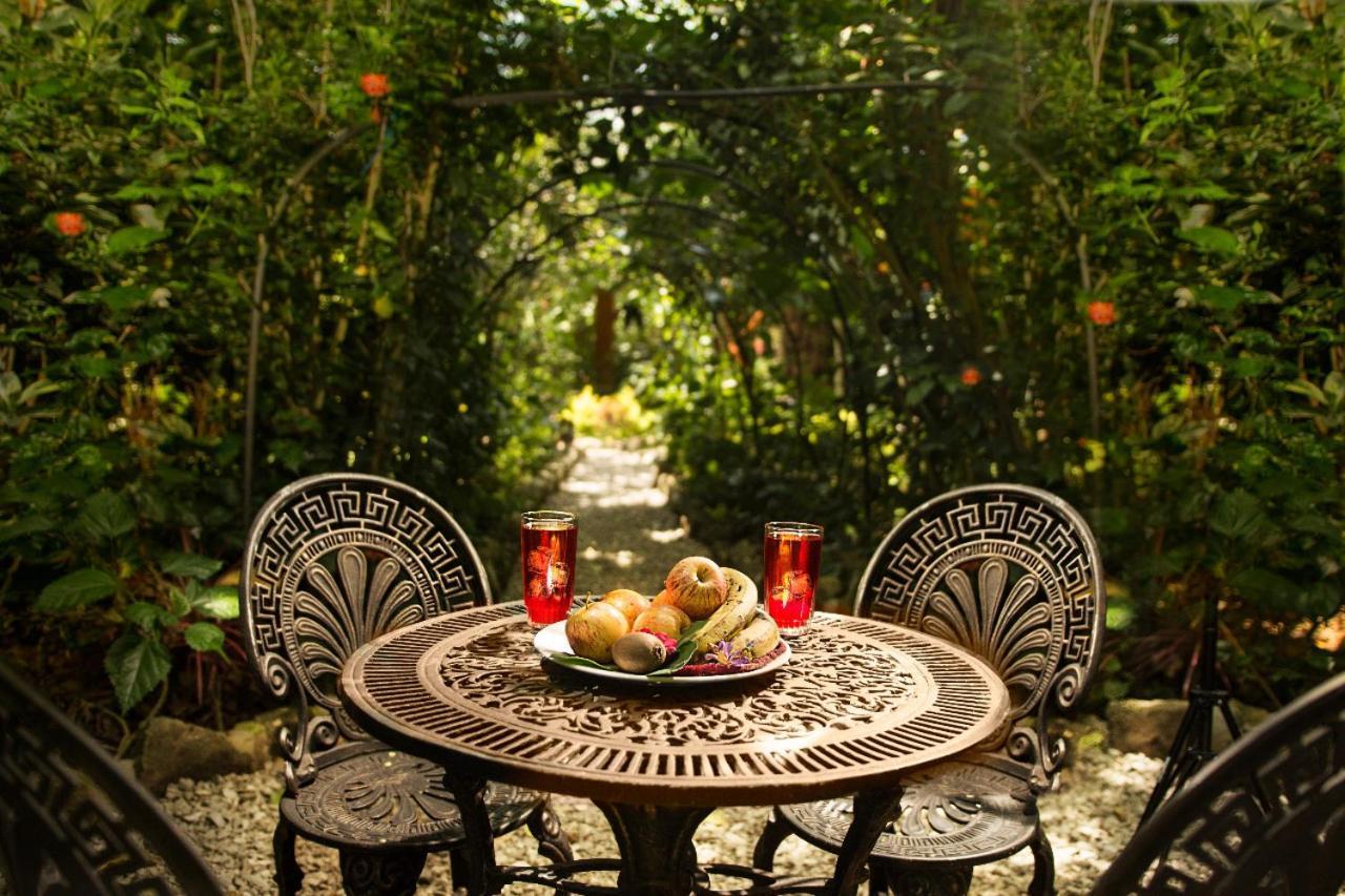 Vila Itchimbia Garden Ayampe Montana Y Mar Exteriér fotografie